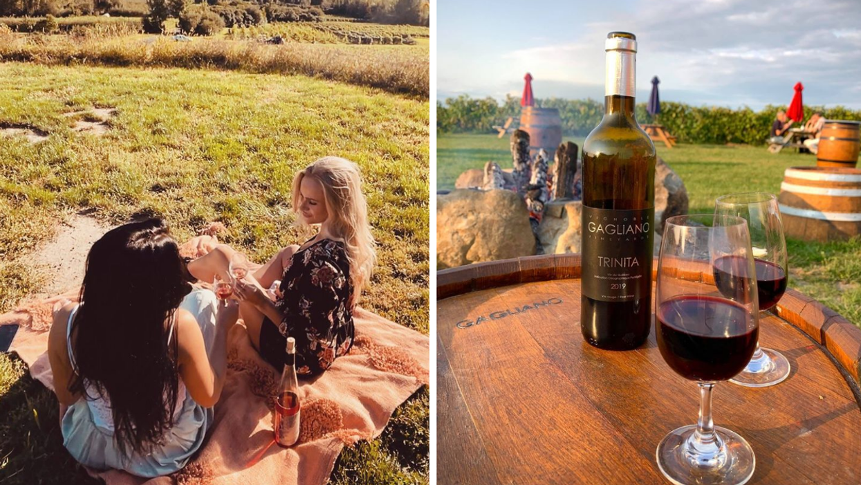 Deux personnes dans un vignoble. Droite : Une bouteille de vin et des verres dans le Vignoble Gagliano.