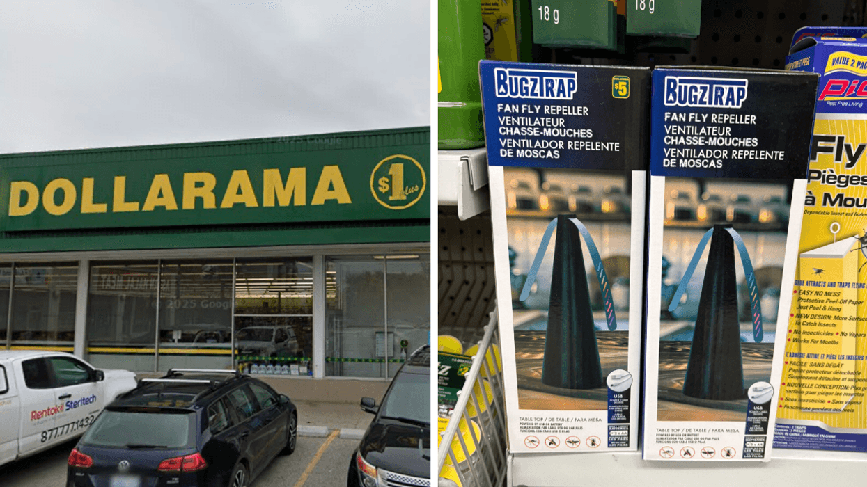 Devanture du Dollarama. Droite : ventilateur chasse-mouches sur les tablettes du Dollarama.
