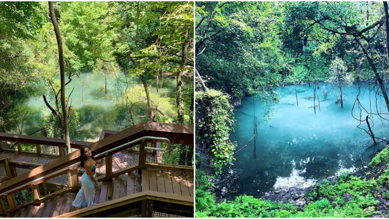 Devil's Millhopper Geological State Park Contains An Ancient Rainforest