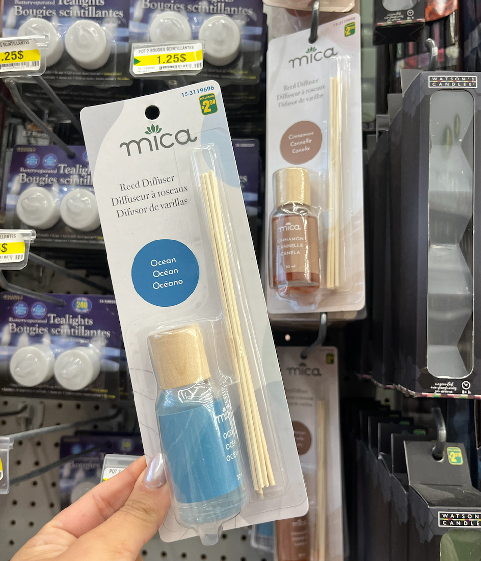 Diffuseur \u00e0 roseaux \u00e0 odeur \u00ab oc\u00e9an \u00bb dans une main au Dollarama.