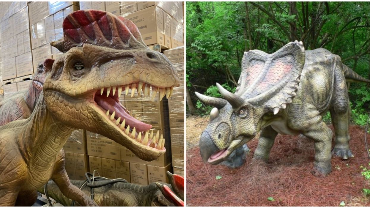 Dinosaurs For Sale In BC: Over 50 Giant Robot Dinosaurs Are Being Auctioned Next Month