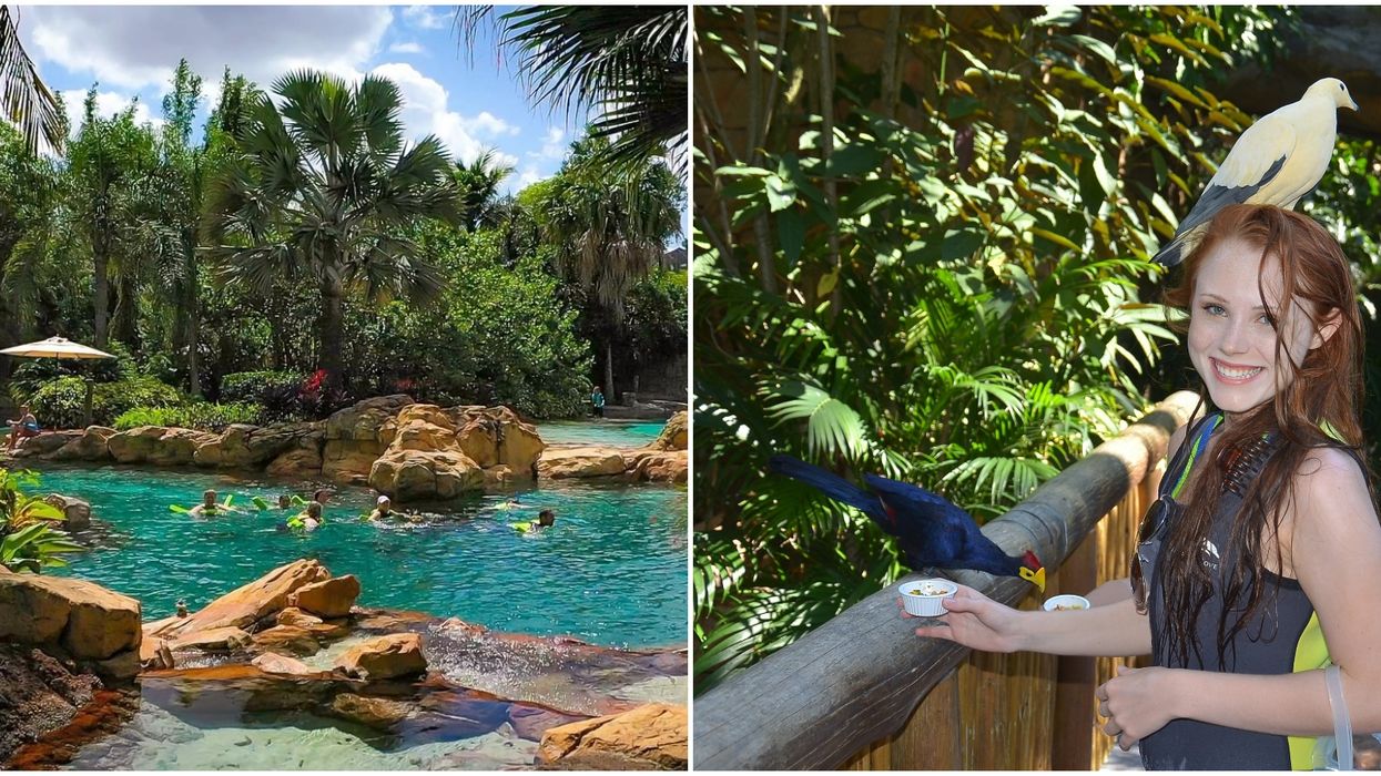 discovery cove orlando lazy river