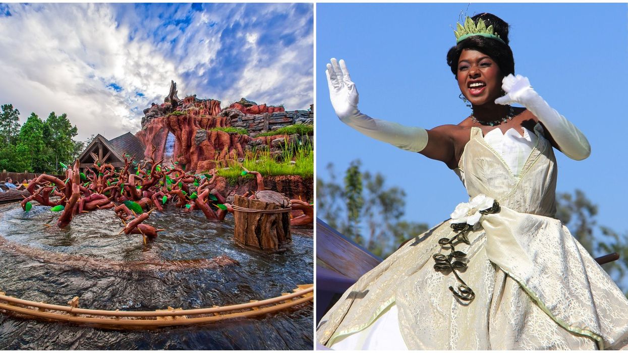 Disney World Splash Mountain Princess And The Frog To Replace Original Theme