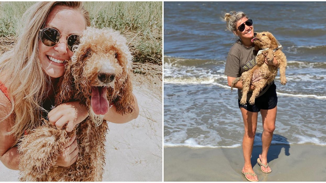 Dog Beaches And Trails In Georgia Your Dog Will Love That You Can Visit For Cheap