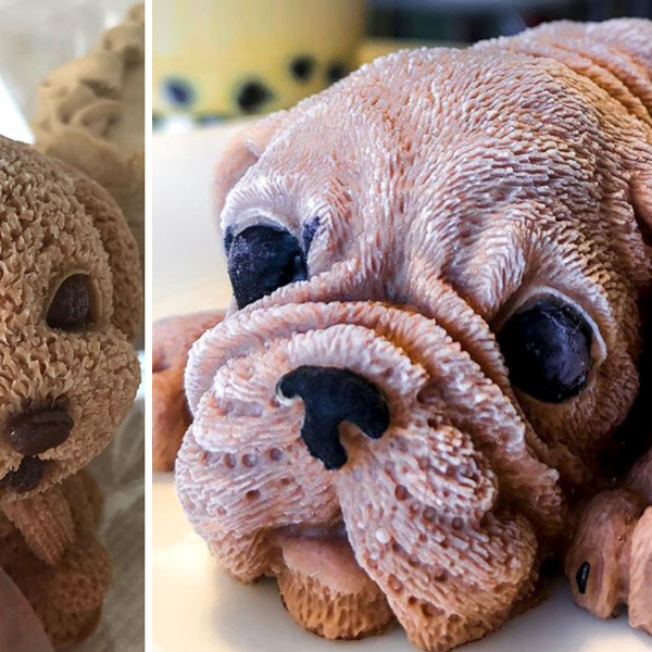 Dog 2024 mousse cake