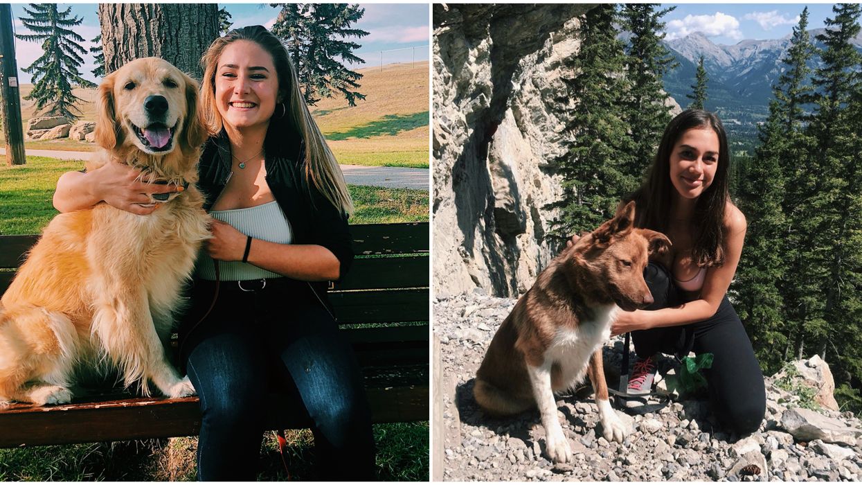 Dog-Friendly Trails Near Calgary Perfect To Explore With Your Best Friend This Summer