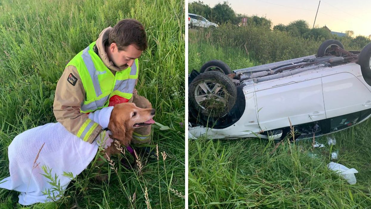 Dog rescued by Ottawa firefighters. Right: Car rolled on its roof.