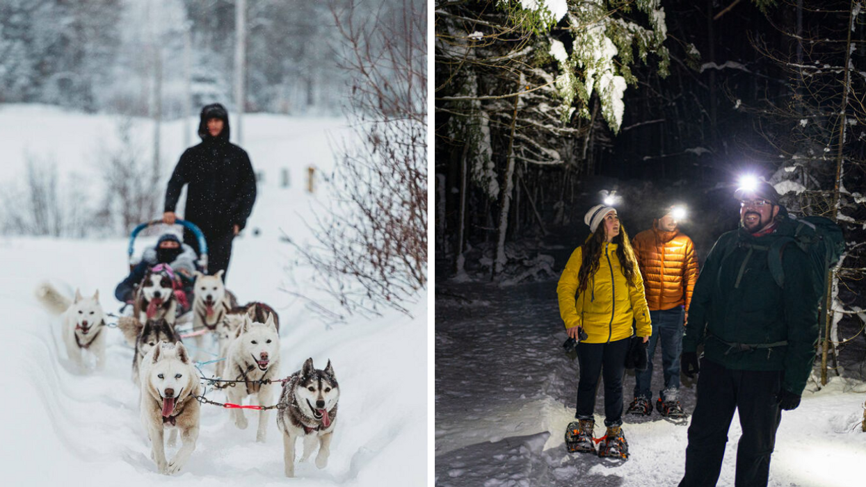 Dog sledding tour near Ottawa. Right: Snowshoeing in the dark. 