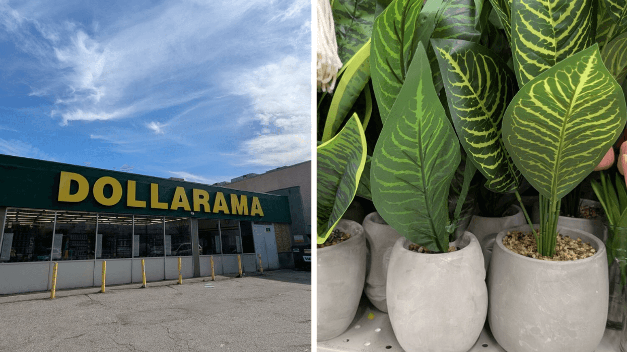 Dollarama Canada store. Right: Plants in a pit