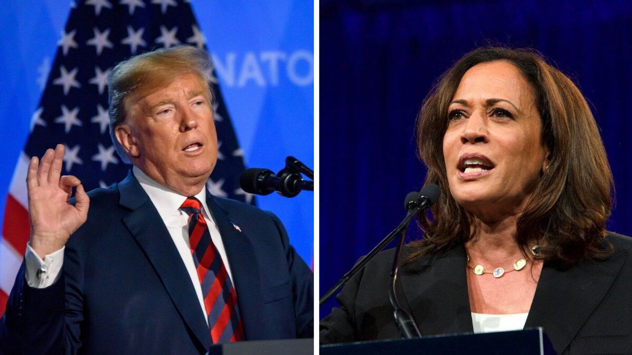Donald Trump and Kamala Harris (illustrative).
