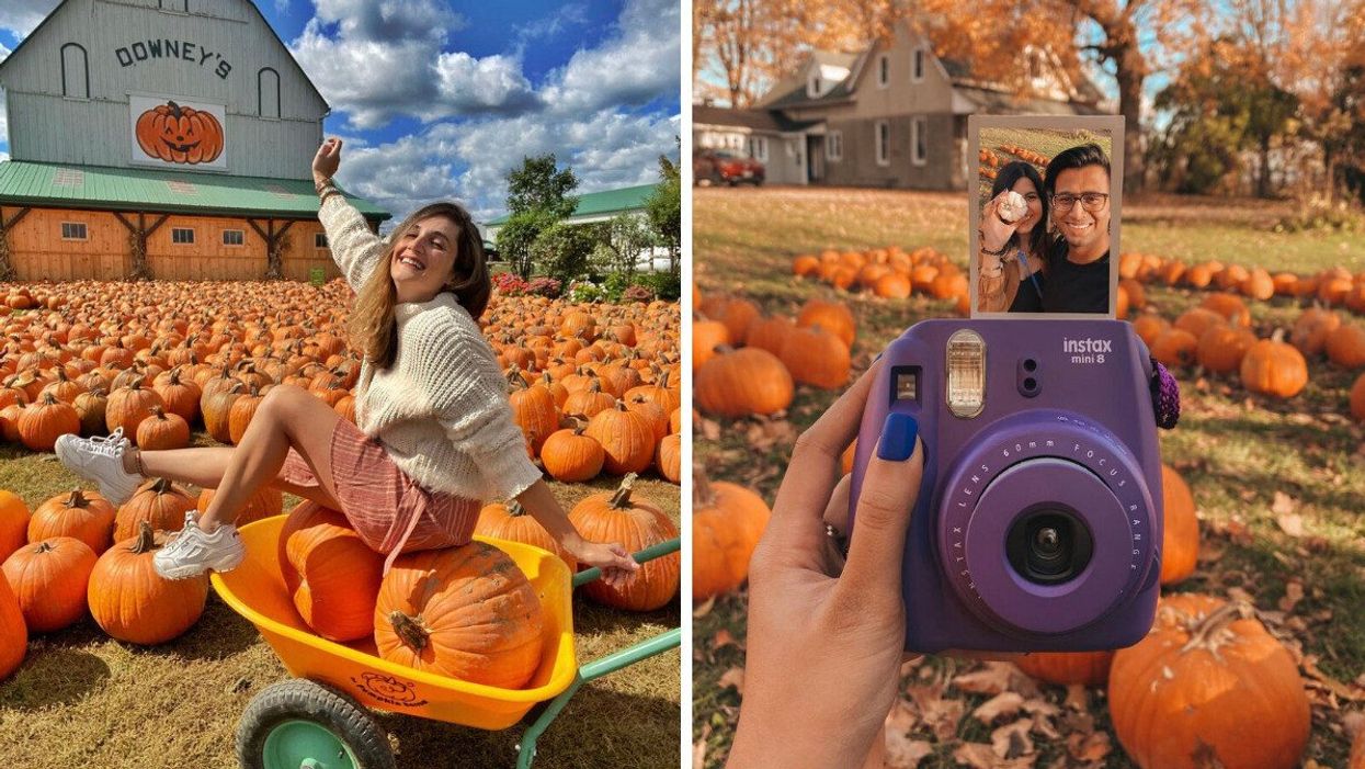 Downey's Farm. Right: A hand holding a purple camera in a pumpkin field.