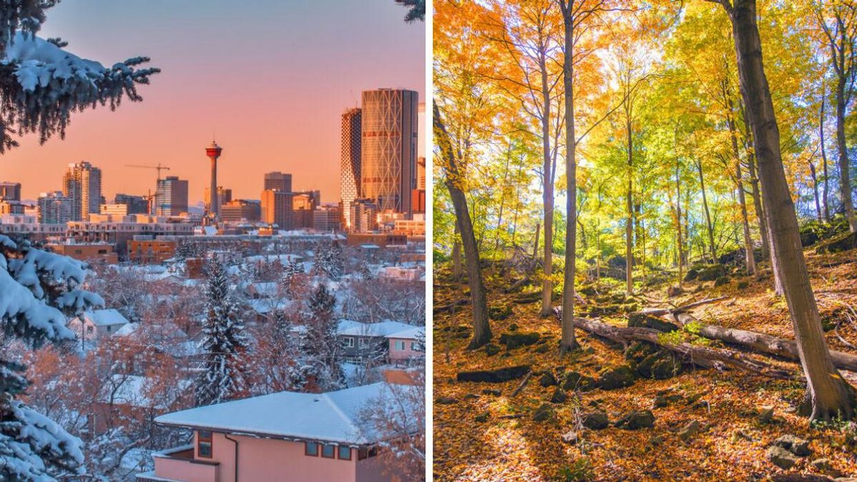 Downtown Calgary. Right: A forest in Ontario.