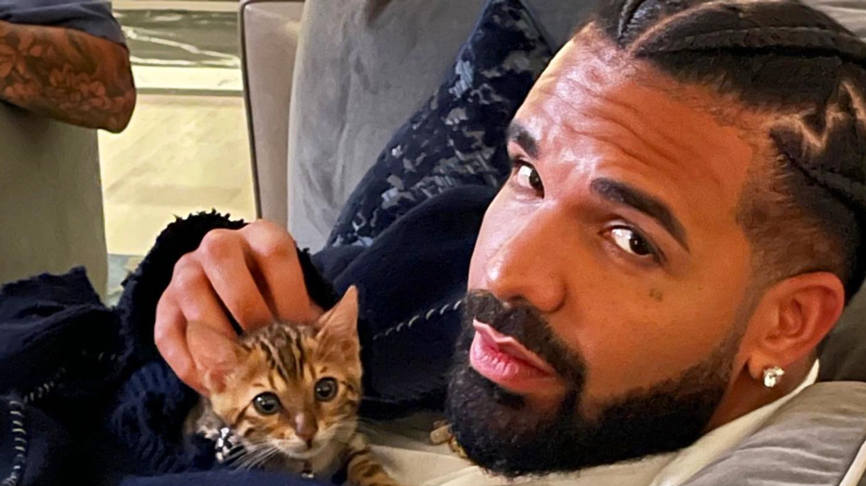 Drake and a kitten.