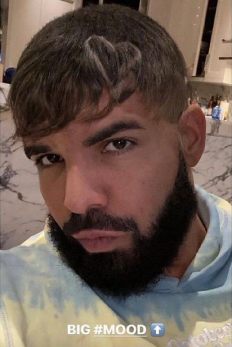 Drake Haircut