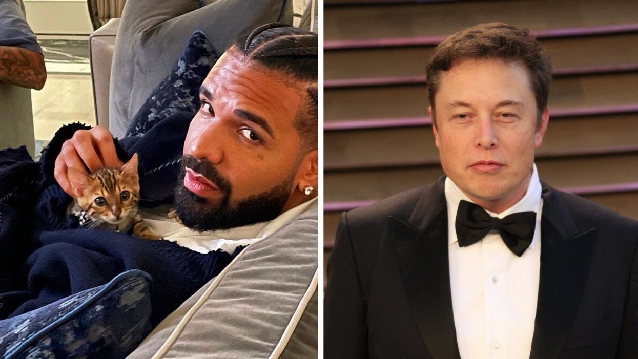Drake holding a kitten. Right: Elon Musk.