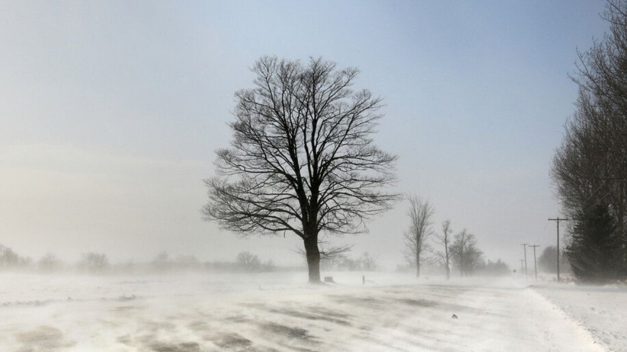 Drifting snow in Ontario, Canada.