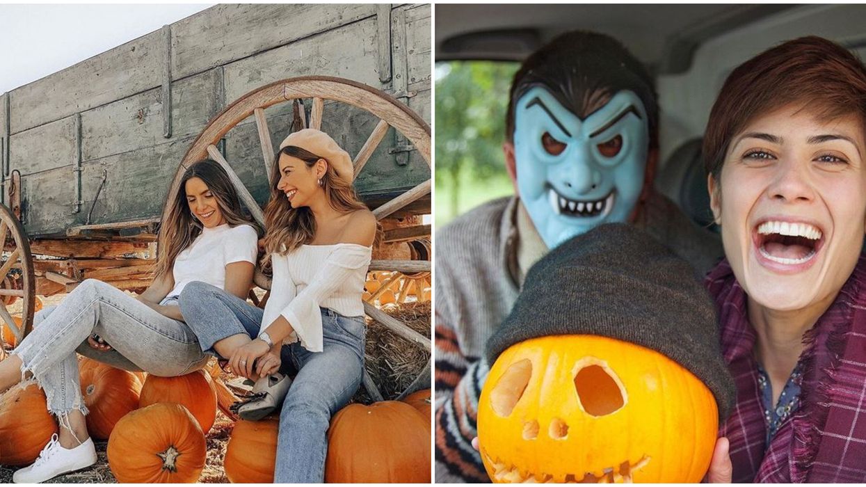 Drive-Thru Pumpkin Patch Miami Not So Spooky Is Happening This Month