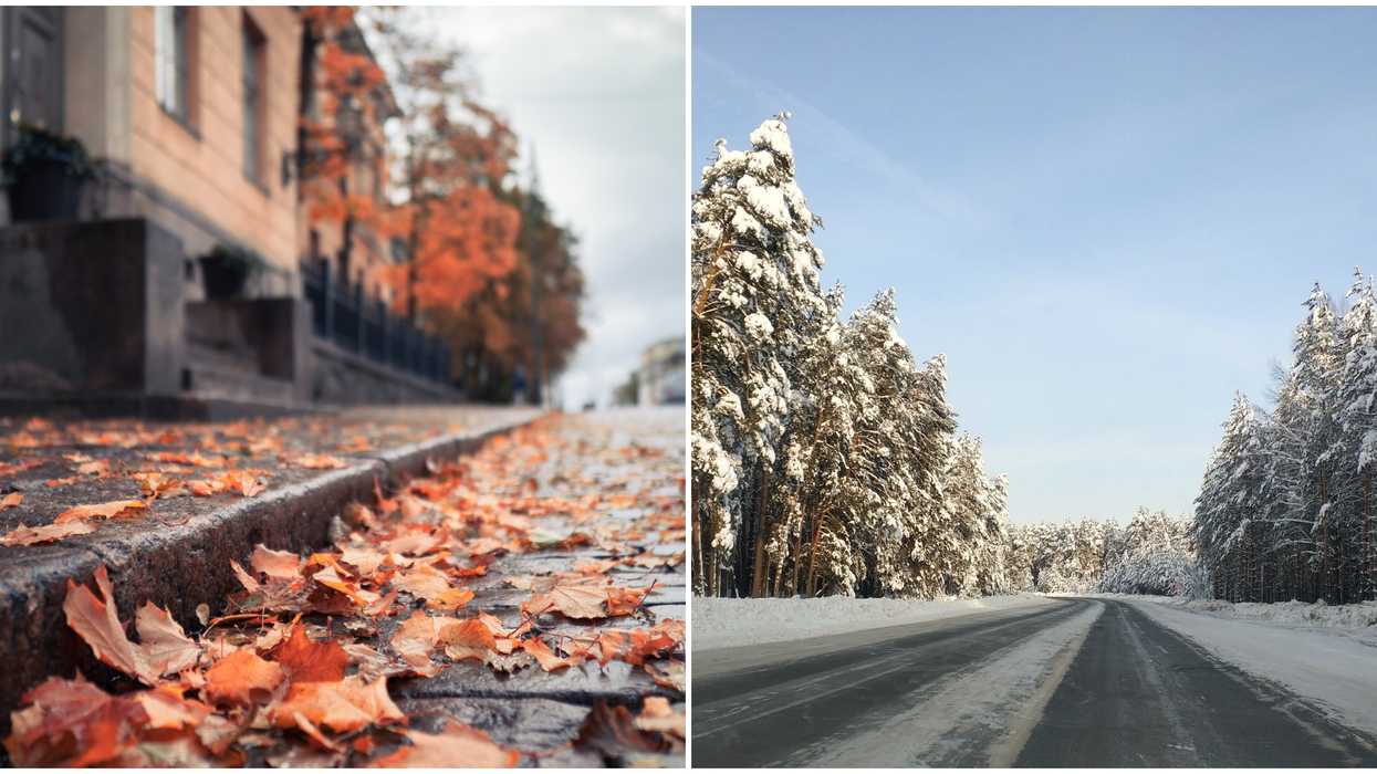 Driving On Leaves Is Apparently As Dangerous As Driving On Ice Weather Experts Say