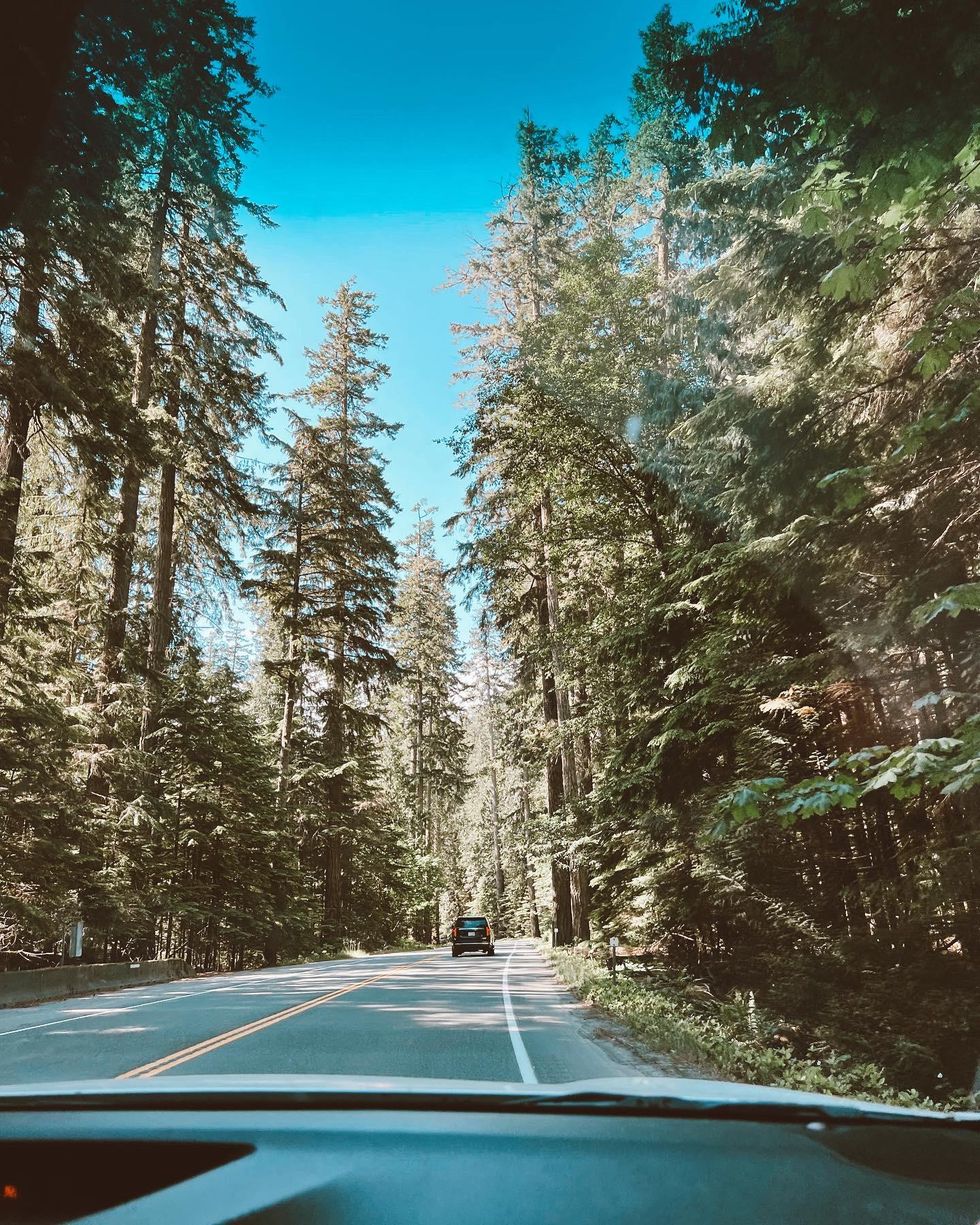 Driving to Tofino, B.C.