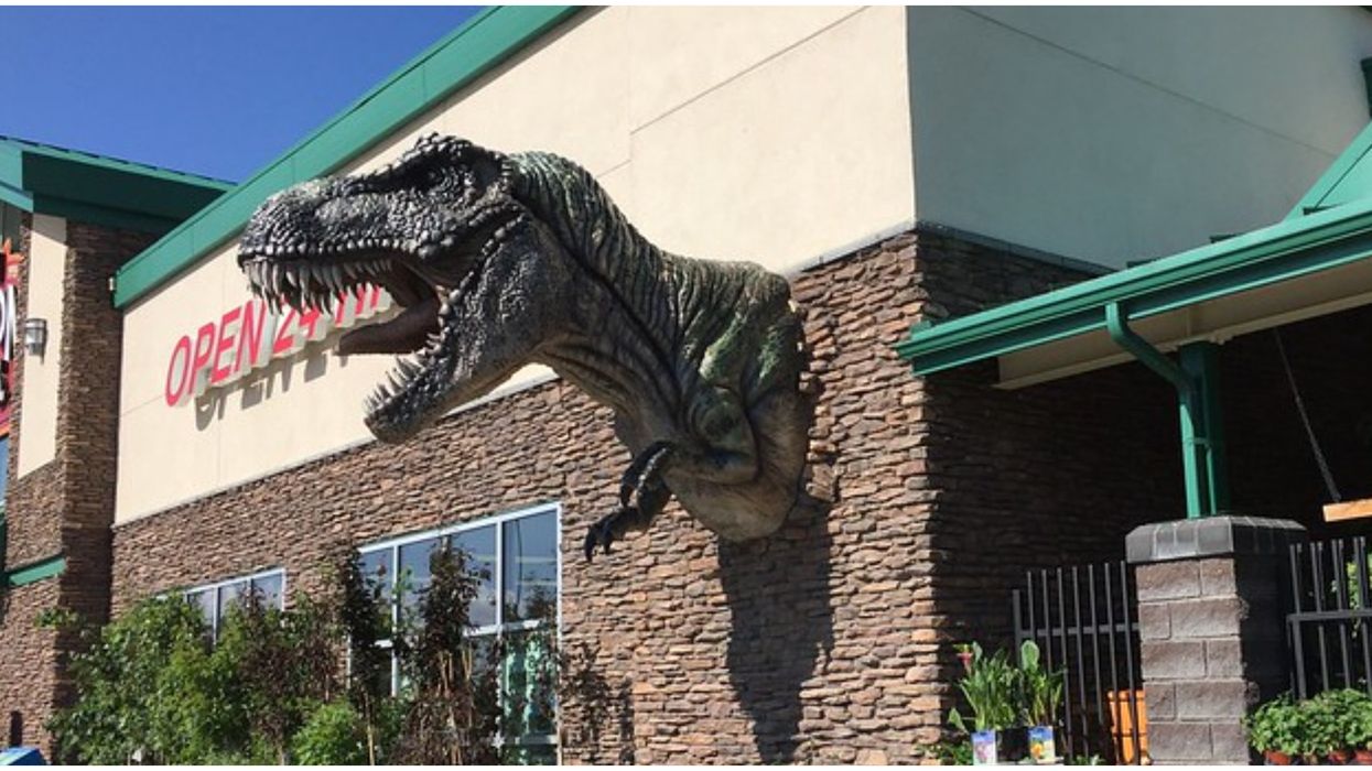 Drumheller's 'Dino Bucks' Is A New Secret Currency You Can Only Get If You Wear A Mask