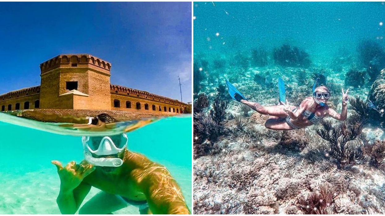 Dry Tortugas Ferry Snorkeling Adventure Takes You To An Exotic Watery Paradise