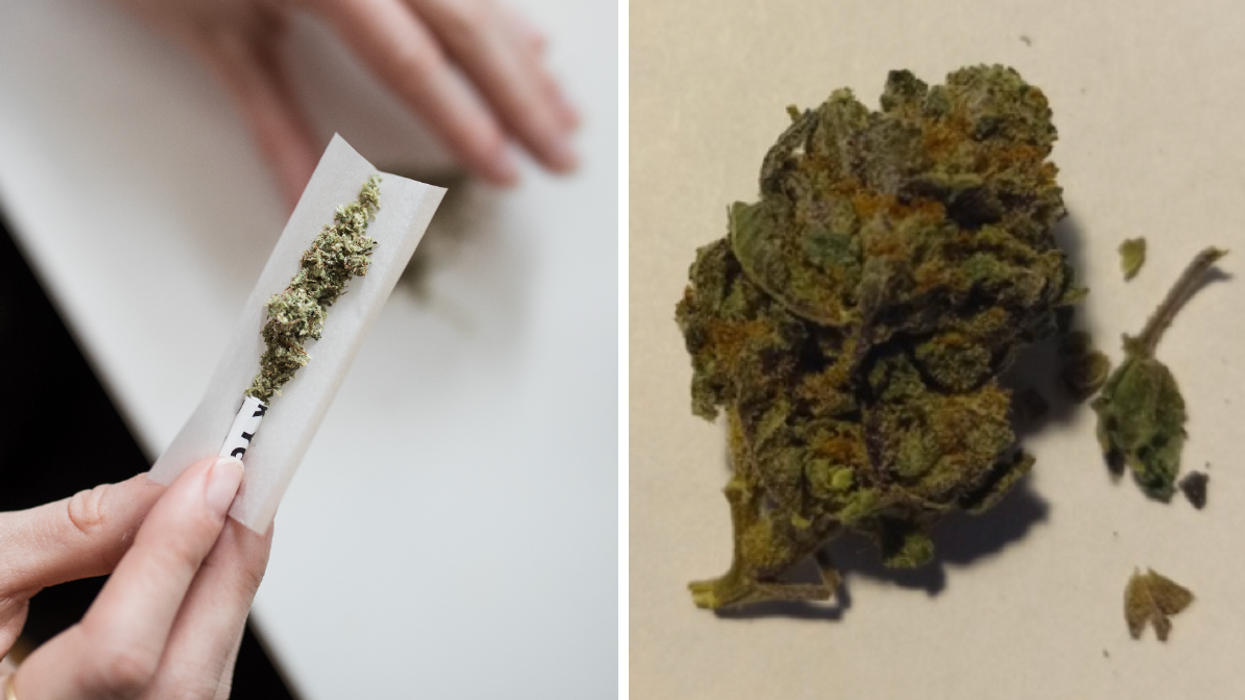 Du cannabis dans du papier à rouler. Droite : Le cannabis contaminé aux opioïdes à Montréal.