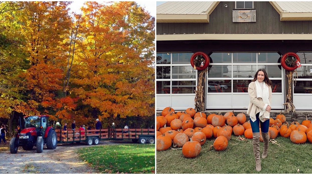 Dyment's Farm Near Toronto Has A Pumpkin Patch On The Niagara Escarpment