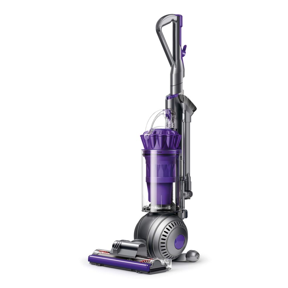 Dyson Ball Animal 2 Pro Bagless Upright Vacuum Cleaner.