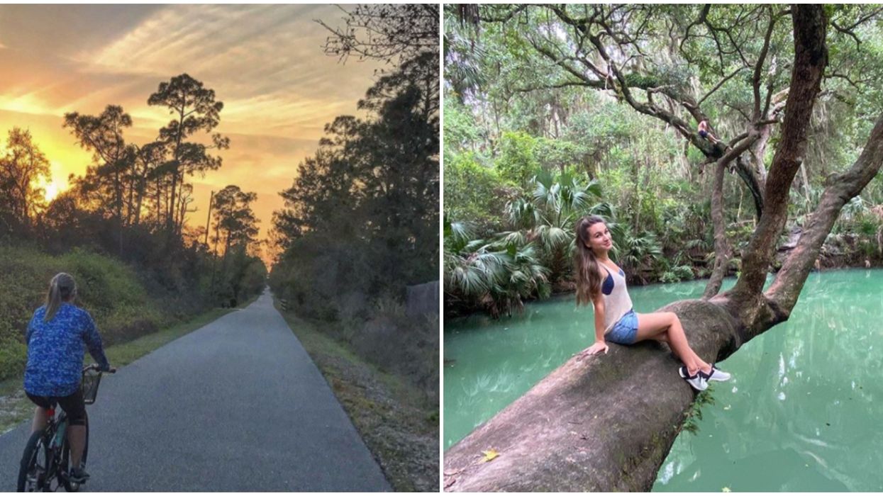 Easy Florida Hiking Trail Leads To Gorgeous Springs