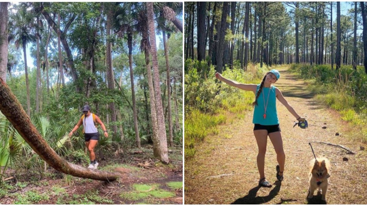 Easy Florida Hiking Trails Hontoon Island State Park Are Perfect For Fall