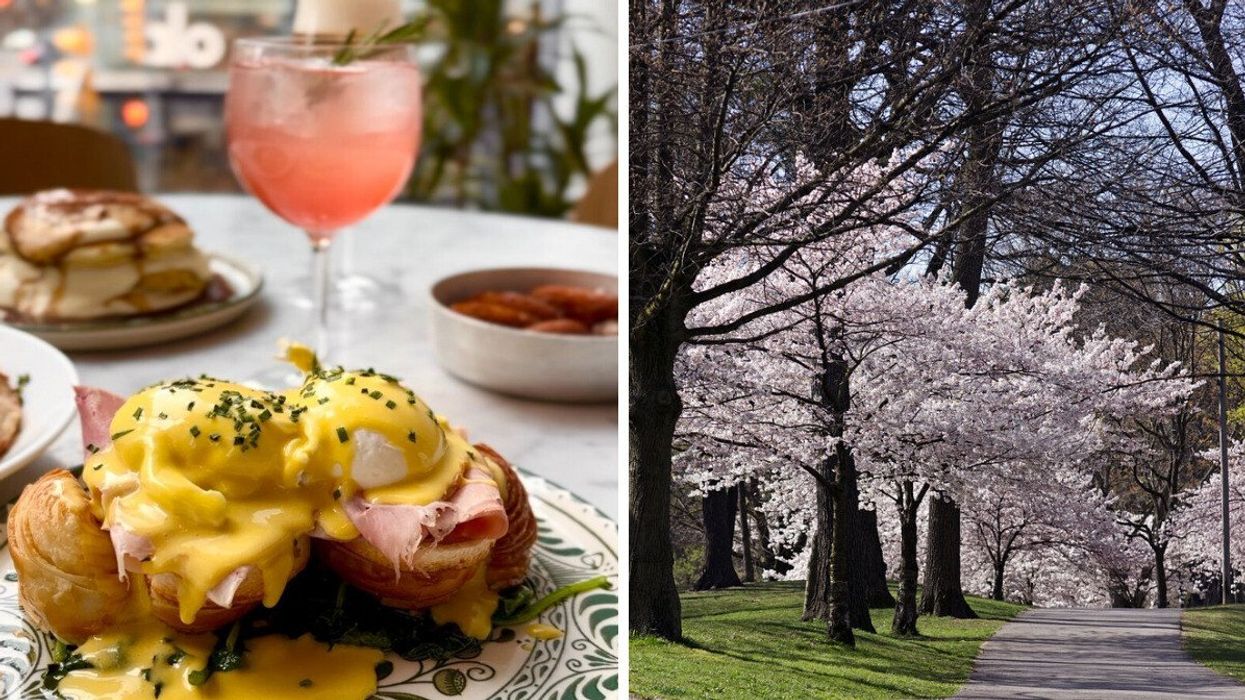 eataly toronto brunch. right: high park cherry blossoms