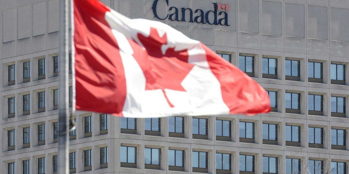 Senior leaders of Edmonton-based infantry battalion reinstated after investigation Senior leaders of Edmonton-based infantry battalion reinstated after investigation