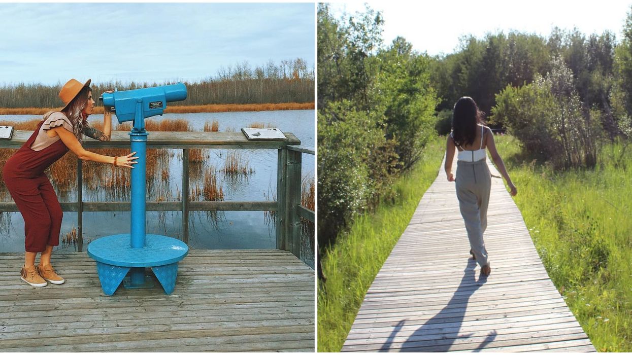 Edmonton's Boardwalk Trail Is A Hidden Gem Worth Finding This Summer