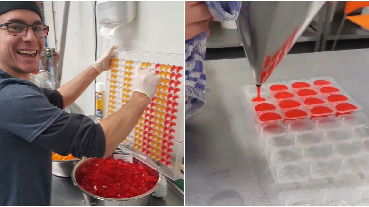 Edmonton Weed Gummy Factory Will Be The Biggest In Canada & Can Make 400 Million A Year