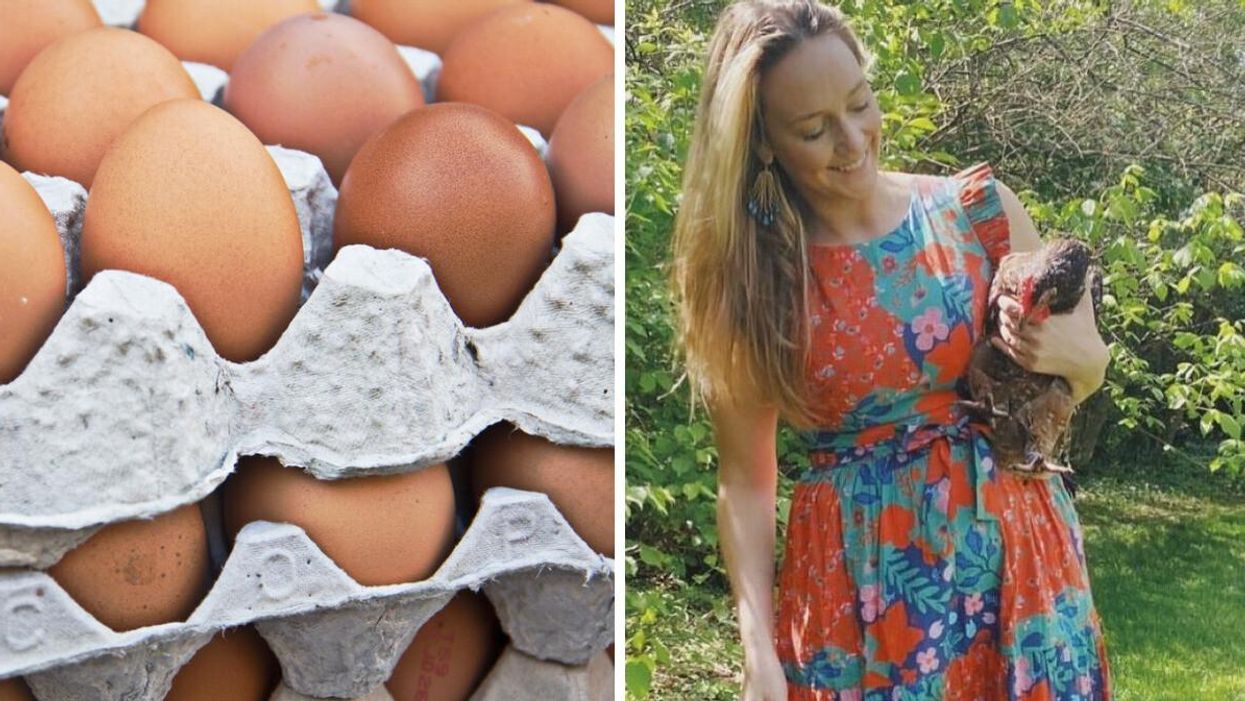 Eggs in a tray. Right: A woman holding a chicken.