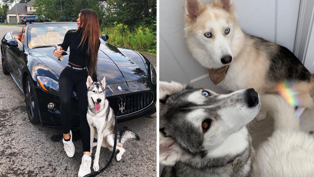 Élisabeth Rioux et ses chiens.