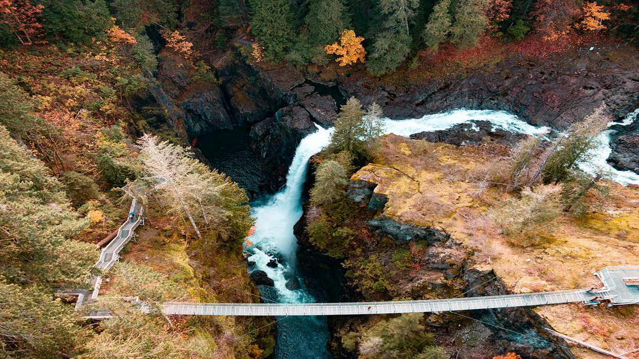 Elk Falls Suspension Bridge In B.C. Will Take You Over The Most Spectacular Fall Colours