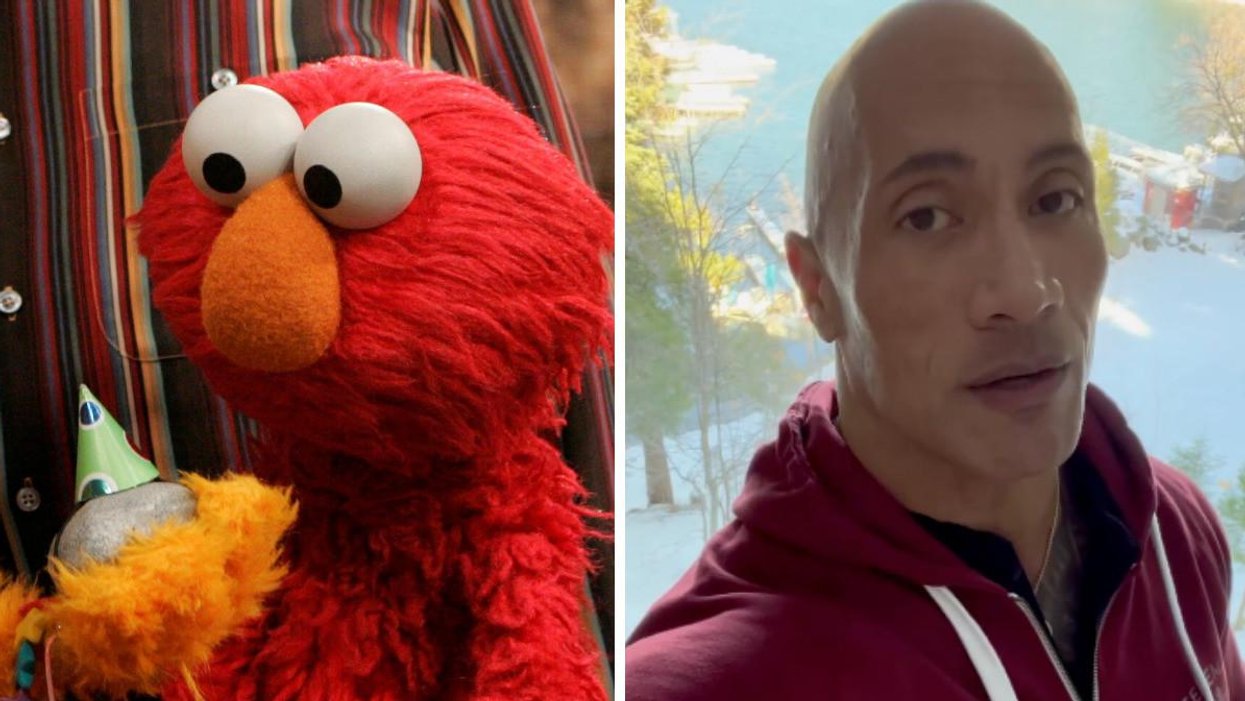 Elmo Rocke Elmo Versus A Pet Rock Is The First Big Feud Of 2022 & Even Dwayne ...