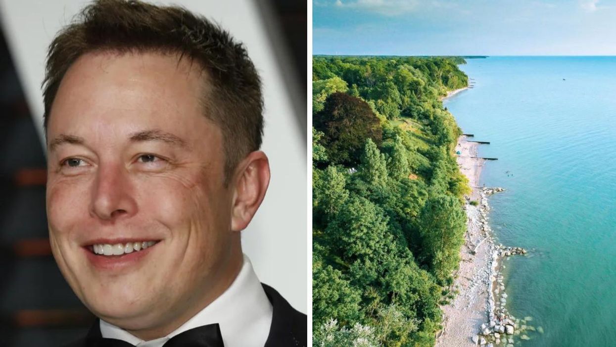 Elon Musk. Right: Lush forest with a sandy shore on a blue water lake