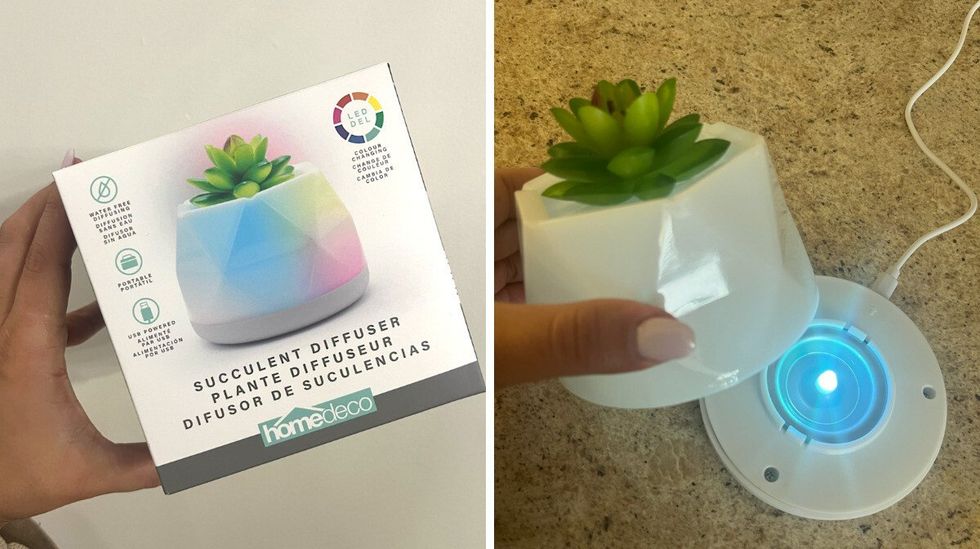 Emballage d'une \u200blumi\u00e8re sous forme de plante avec diffuseur d'huiles essentielles. Droite : le produit ouvert et allum\u00e9 pour montrer l'int\u00e9rieur.