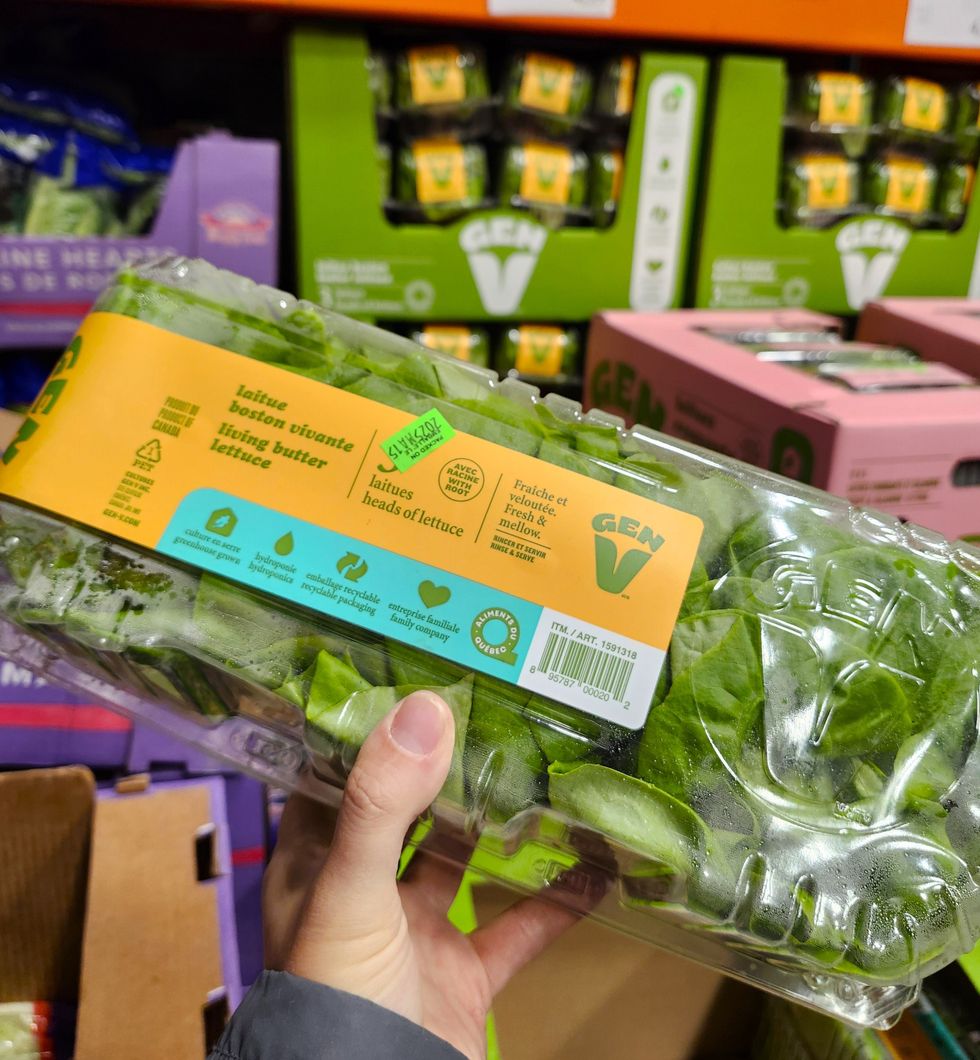 Emballage de trois t\u00eates de laitue Boston.