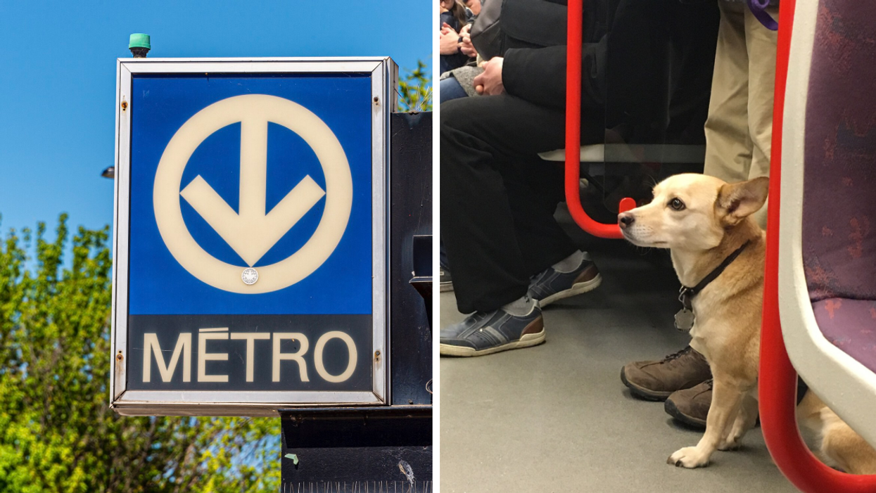 Enseigne du métro de Montréal. Droite : Chien dans le métro.