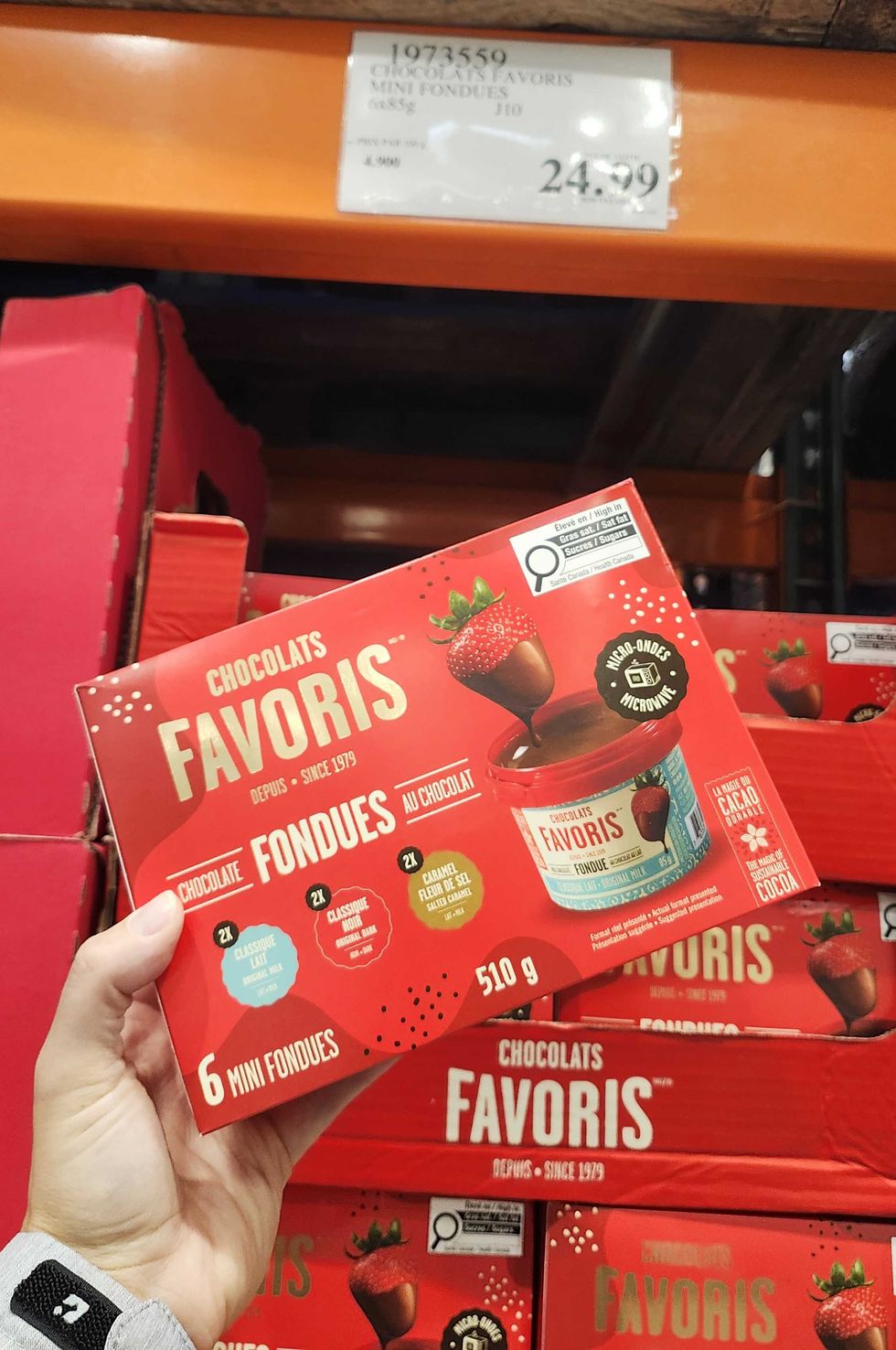 Ensemble de mini fondues de la marque Chocolats favoris.