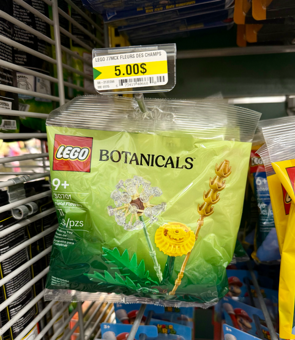 Ensemble LEGO Botanicals avec fleurs \u00e0 assembler vendu au Dollarama.