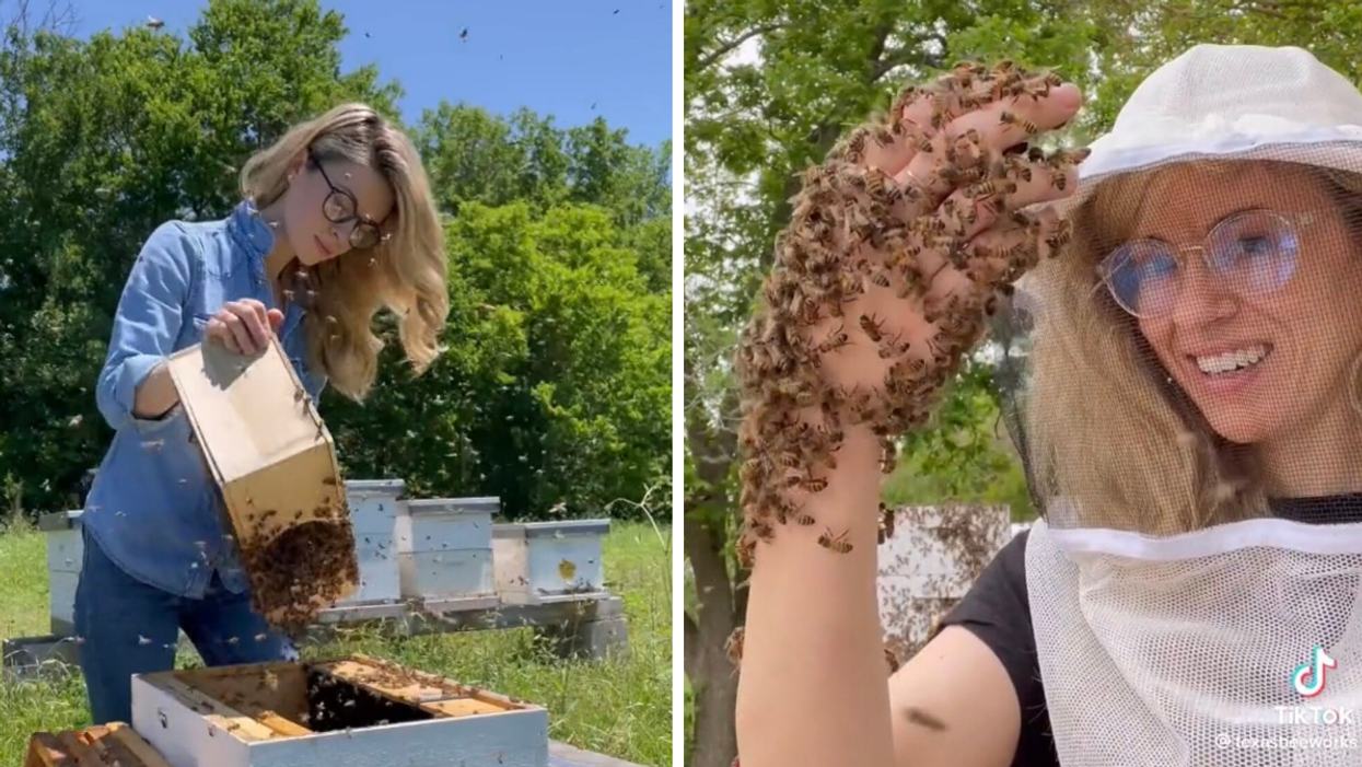 Erika Thompson pouring bees into a new hive. Right: Thompson holding bees on her hand.