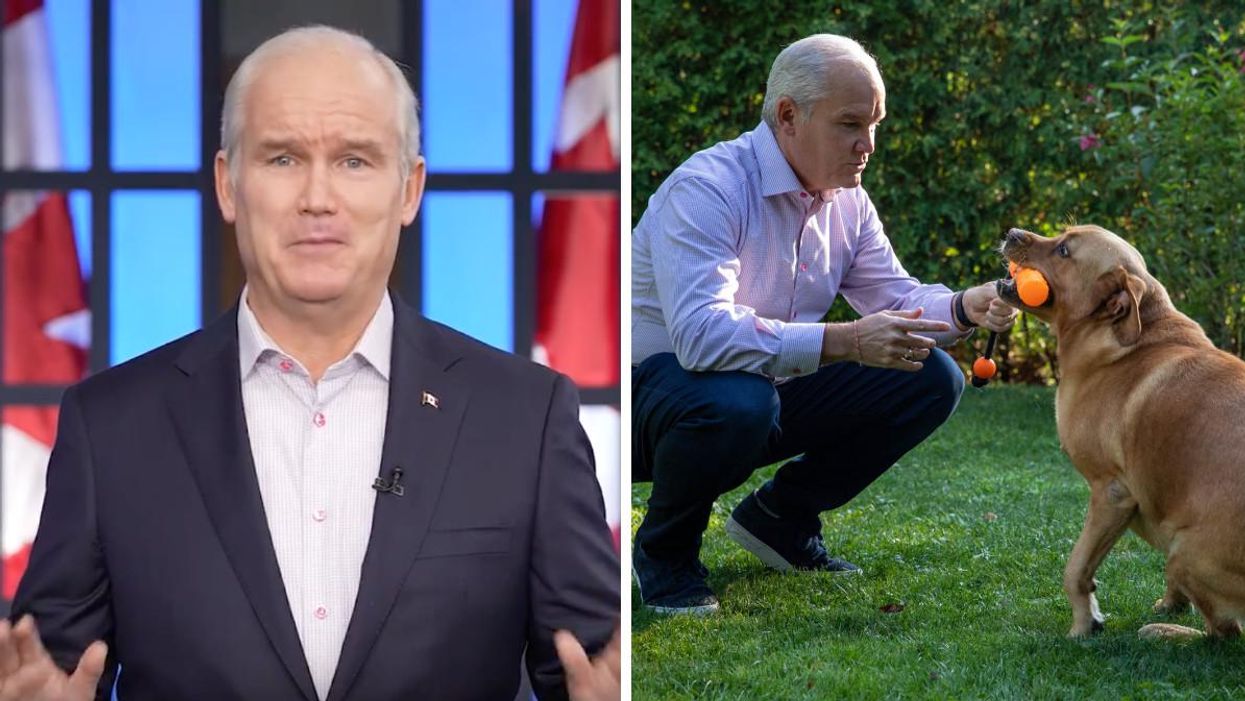 Erin O'Toole Promises To Ban Puppy Mills & Animal Testing If Elected