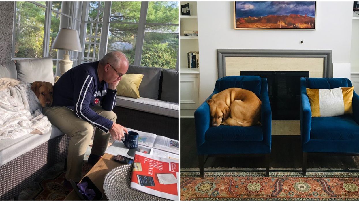 Erin O'Toole's Dog Now Has Social Media & He's The Goodest Boy