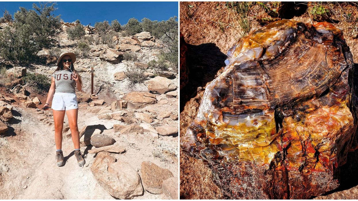 Escalante Petrified Forest State Park In Utah Is A Surreal Escape Filled With Dazzling Colors