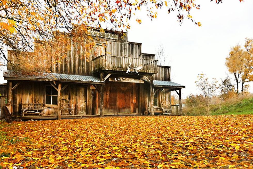Escape Maze game with fall leaves.