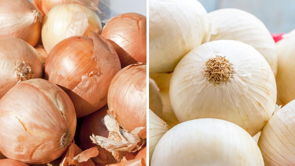 Even More Onions Are Being Recalled Across Canada Due To Possible Salmonella Contamination